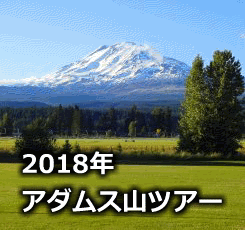 noname14c_html_smartbutton67