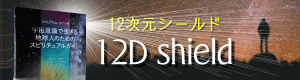 12次元シールド